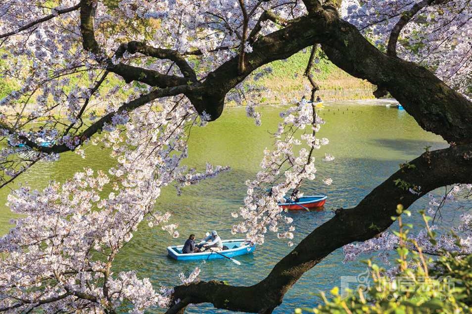 尚层装饰别墅生活春游风景图
