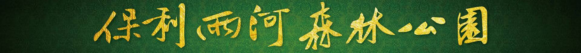 别墅装饰公司