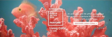2019年度家居装饰流行色公布 珊瑚橘（Living Coral）