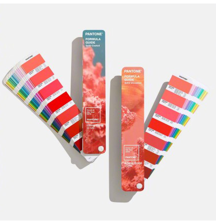 2019年度家居装饰流行色公布 珊瑚橘（Living Coral）