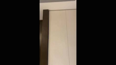 尚层装饰新产品